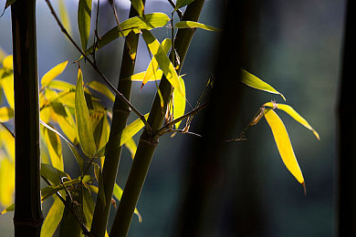 老师掀胸给学生喂奶｜伦理风暴：师德师风危机挑战-2