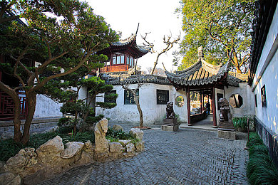 小小拗女性BBW｜拗女逆袭：网络红人的自我成长之旅-4