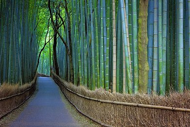 久久久久｜千年瑰宝，现代新生——传承与创新之光-2