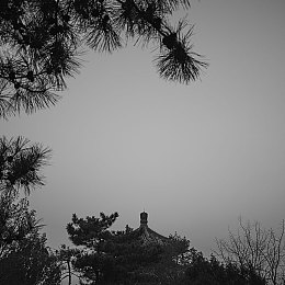 www.18禁｜揭秘＂18禁＂网站秘境，畅享个性化视听盛宴