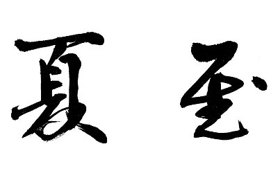 男女差差差APP｜揭秘生活差异：男女差差差APP引发性别平等新讨论