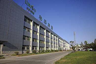羽毛在尿孔打转｜自然奇观：羽毛螺旋之谜探险之旅-3