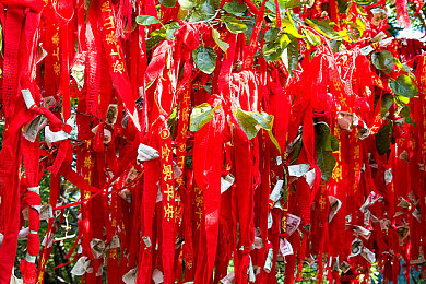 校花自慰｜校园自慰新风尚，愉悦身心两不误-2
