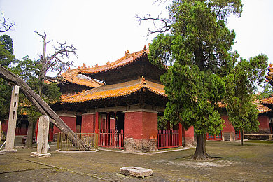 娇妻与行长卧室激情｜行长娇妻与神秘商人禁忌之恋：权力欲望交织下的情感较量-1
