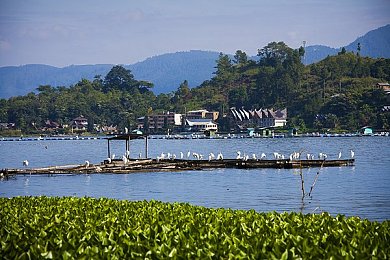 黄色软件下载免费版下载安装｜揭秘免费诱惑：黄色软件下载风险与安全指南-4