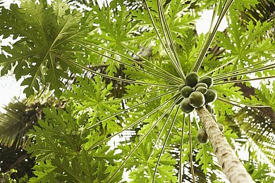 丝袜脚 好紧 老师｜神秘学园探险解谜新游《丝袜脚好紧老师》来袭，悬疑剧情等你揭秘