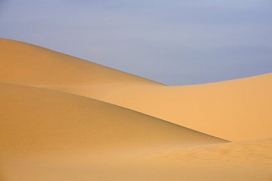 伊人下载｜时尚潮流领航者，伊人下载打造购物新纪元-2