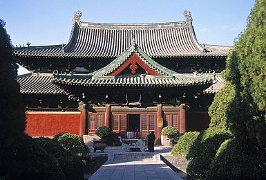 tomhayatotakkakir9888的成就｜网络奇才tomhayatotakkakir9888：笑与智的跨界传奇
