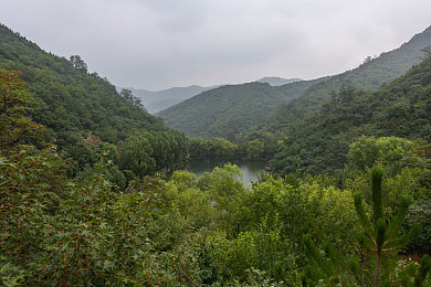 ChinaXXX对白刺激仙踪林｜神秘仙踪林：ChinaXXX传奇之旅-2