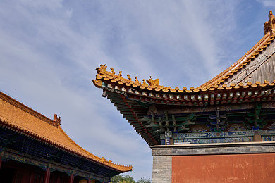 乌兰图雅的pB多大｜草原歌后跑出PB，体育精神燃动人心-5