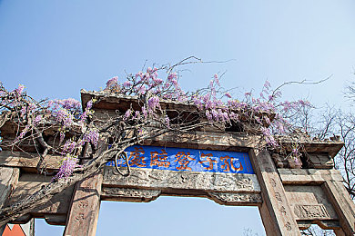 xax manta uzun haya背景图｜织梦新疆，MANTA图腾：传承与创新交织的民族画卷-5