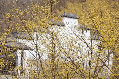 汤不热大剧院下载免费｜汤不热影院，免费观影新体验，畅享海量高清大片