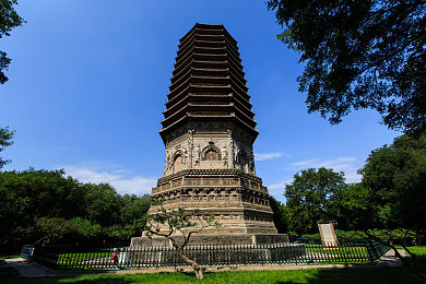 博雅和榜一大哥一直叫｜博雅之星：才艺互动，成就榜一大哥的欢乐旅程