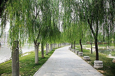 按摩师春药精油女高潮｜春药迷局：揭秘按摩师诱导高潮背后的道德与法律拷问-3