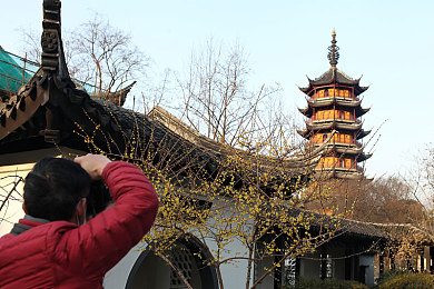 美女脱光衣服软件｜数字时尚新纪元：隐私护航下的“裸衣”软件魅力探秘-1