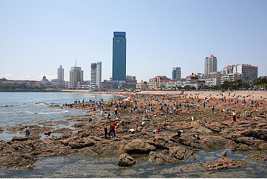 流氓软件｜数字魅影探秘：揭秘“流氓软件”双重面纱