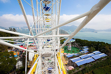 丁香五月天婷婷｜绽放青春的回忆与希望在花海间-4