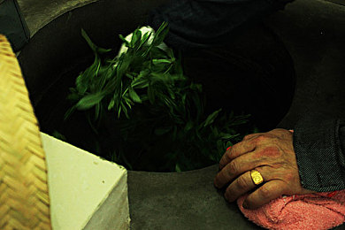 猎奇血腥官网入口｜网络净化者：猎奇终结，守护清朗网络-2