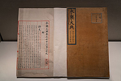 拔萝卜不盖被子｜萝卜互动乐无边，趣味减压新体验-1