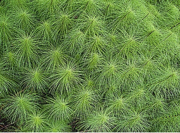 汤姆叔叔tom2368最新网名｜漫步时光，网名映照生活态度-2