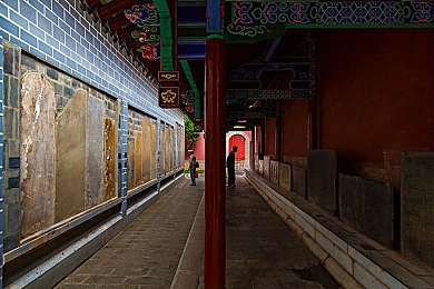 夜月直播app下载视频大全｜互动直播体验，年轻人的休闲新选择-3