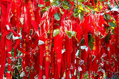 瑞典4个女儿在芬兰｜探寻瑞典与芬兰“姐妹情谊”：揭秘“瑞典4个女儿在芬兰”的历史与未来