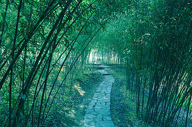 欧美一二区｜欧美文化交融，多元发展新篇章