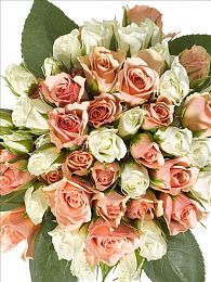 莲花直播｜直播盛宴，莲花绽放，互动新体验