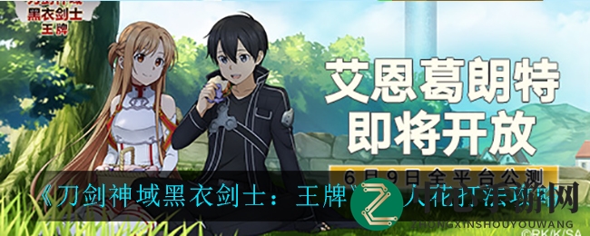 《刀剑神域黑衣剑士：王牌》食人花打法攻略