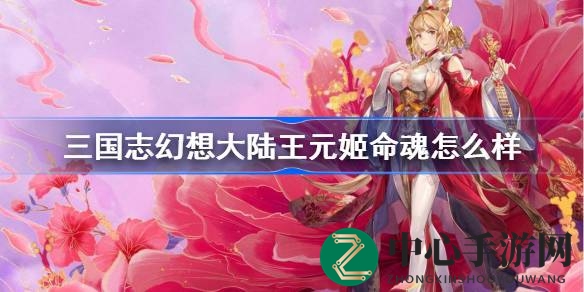 三国志幻想大陆：揭秘王元姬命魂技能，女团阵容新篇章