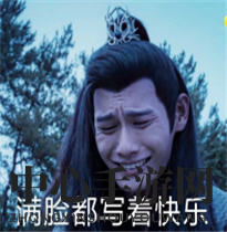 江澄舅舅表情包分享