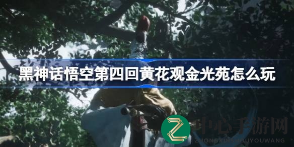 悟空奇旅：黄花观金光苑攻略揭秘，一步一阶登仙路