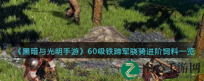 《黑暗与光明》揭秘：60级铁蹄军骁骑进阶饲料全攻略