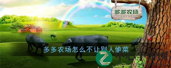 《多多农场》如何设置防偷菜攻略