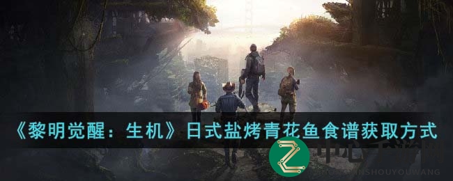 探秘岛域，解锁日式盐烤青花鱼秘籍之旅
