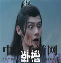 江澄舅舅表情包分享