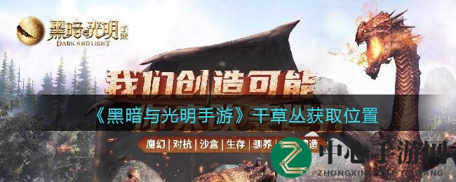 《黑暗与光明手游》干草丛分布解析，珍稀资源获取攻略大揭秘